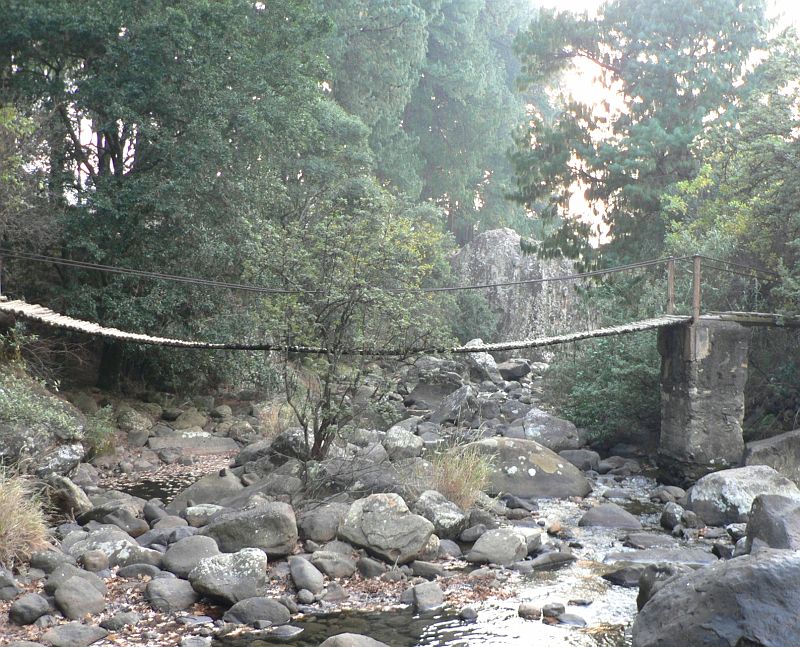 JAR 455.JPG - Most přes říčku.